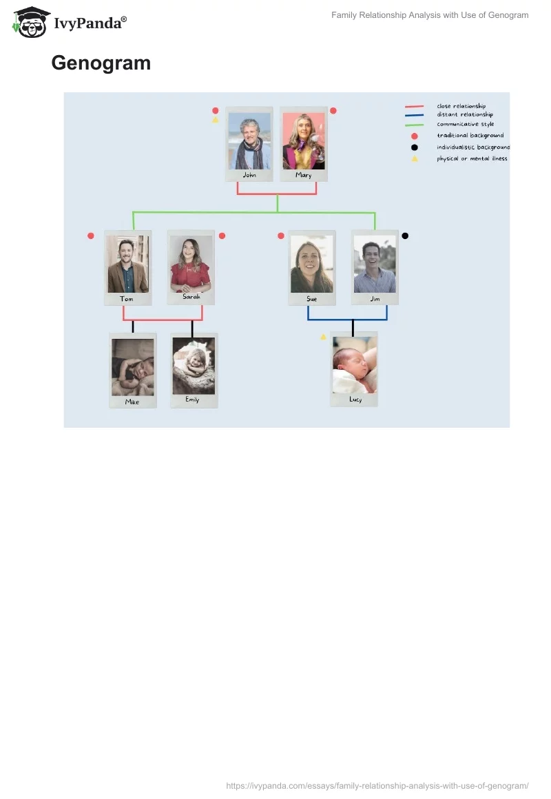 Family Relationship Analysis with Use of Genogram. Page 3