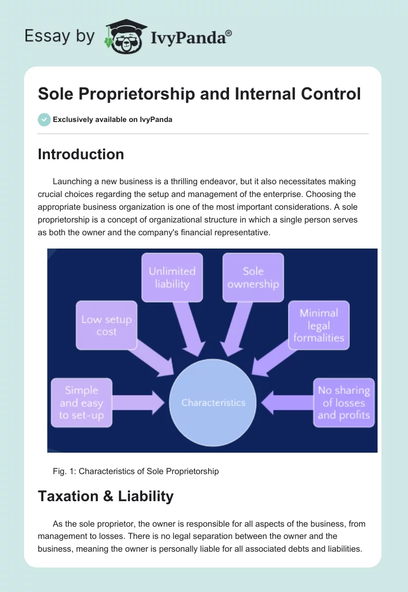 Sole Proprietorship and Internal Control. Page 1