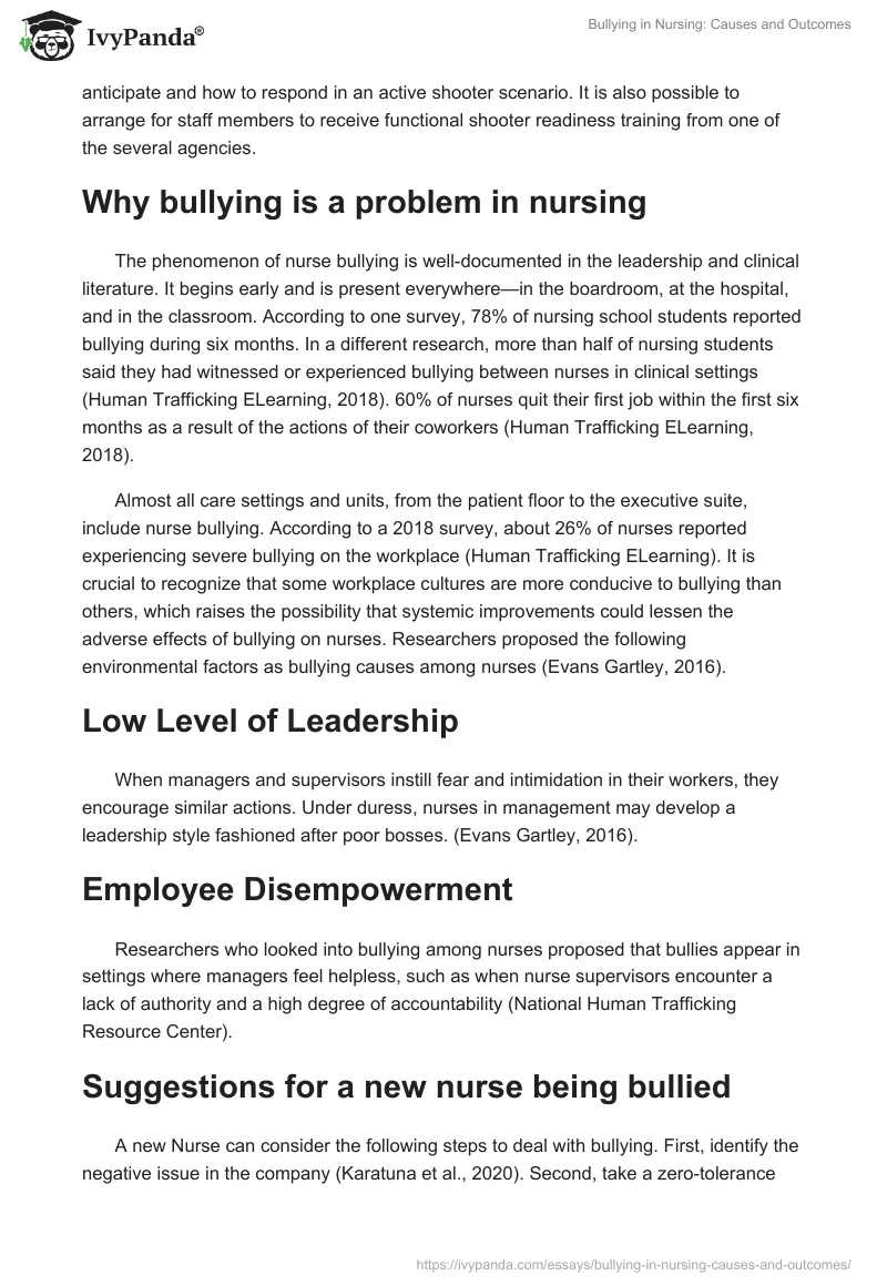 Bullying in Nursing: Causes and Outcomes. Page 3