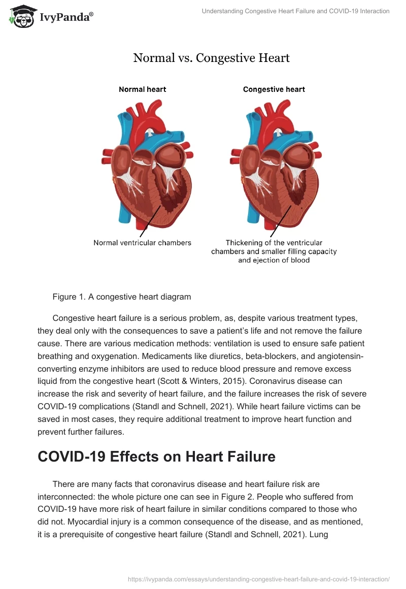 Understanding Congestive Heart Failure and COVID-19 Interaction. Page 2