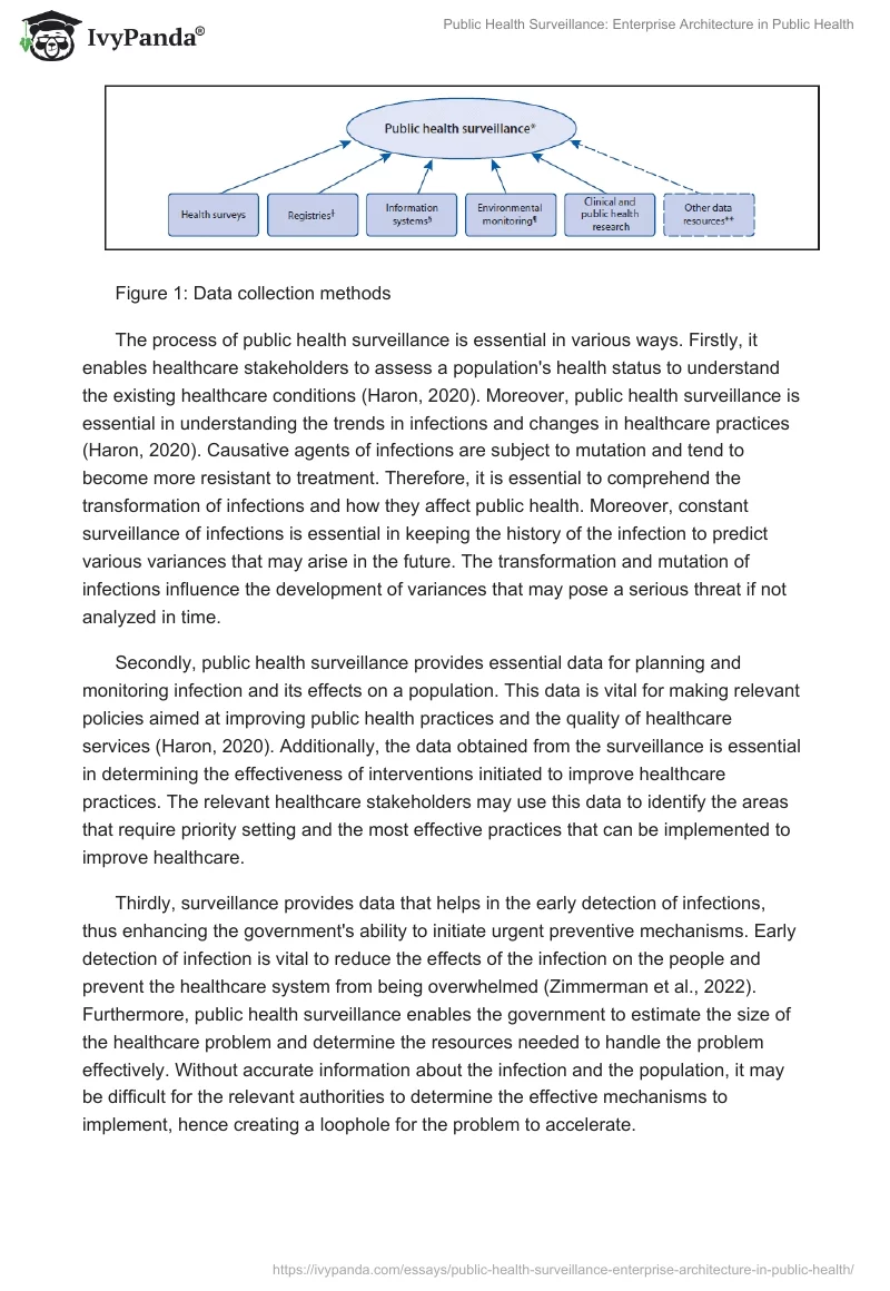 Public Health Surveillance: Enterprise Architecture in Public Health. Page 3