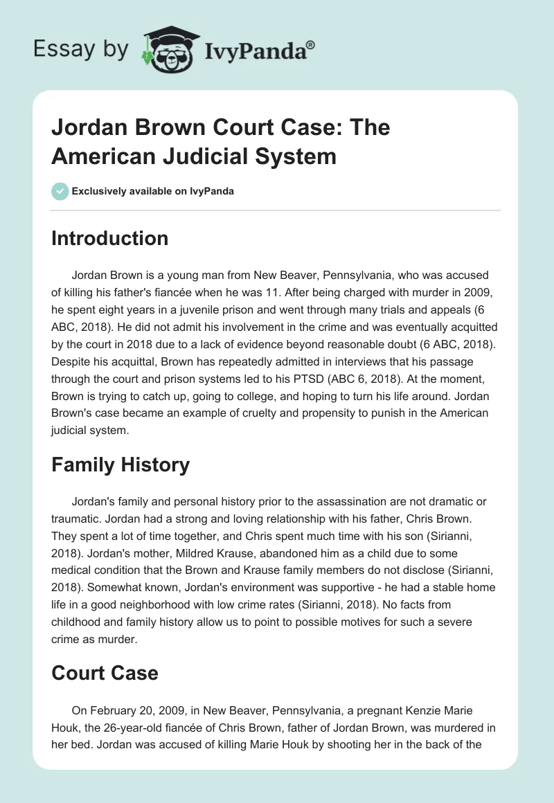 Jordan Brown Court Case: The American Judicial System. Page 1