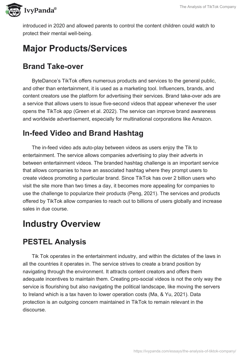 The Analysis of TikTok Company. Page 2