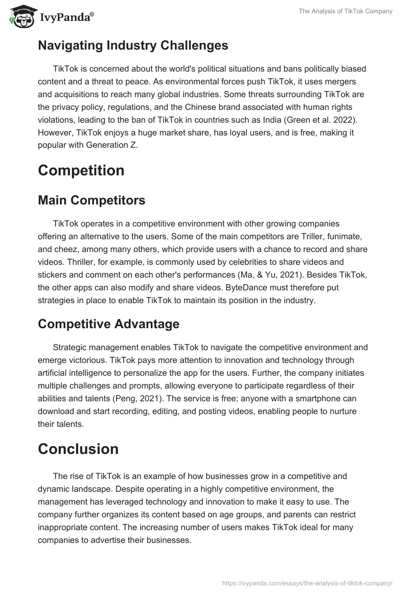 The Analysis of TikTok Company. Page 3