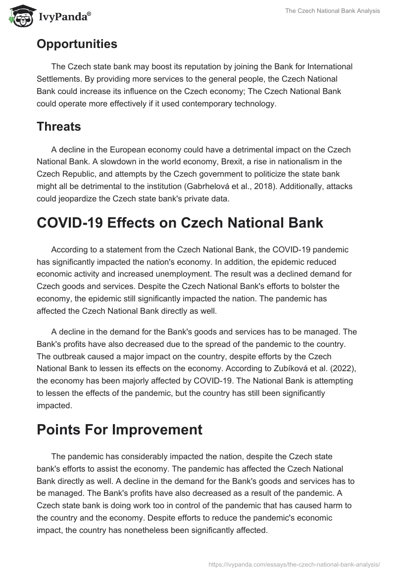 The Czech National Bank Analysis. Page 3