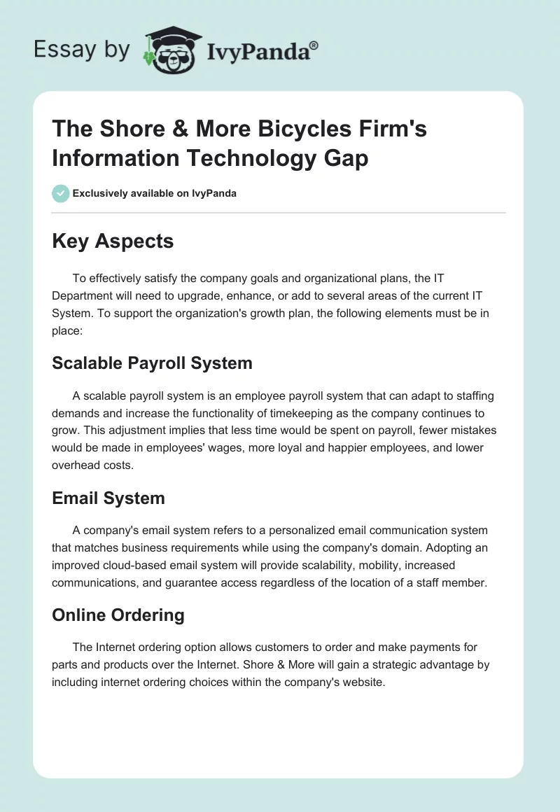 The Shore & More Bicycles Firm's Information Technology Gap. Page 1