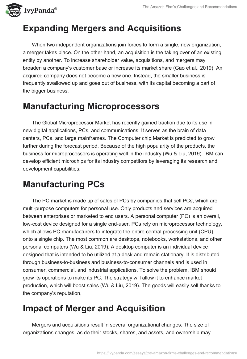 The Amazon Firm's Challenges and Recommendations. Page 2