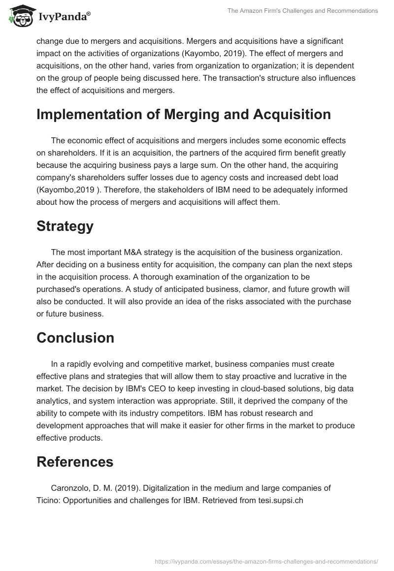 The Amazon Firm's Challenges and Recommendations. Page 3