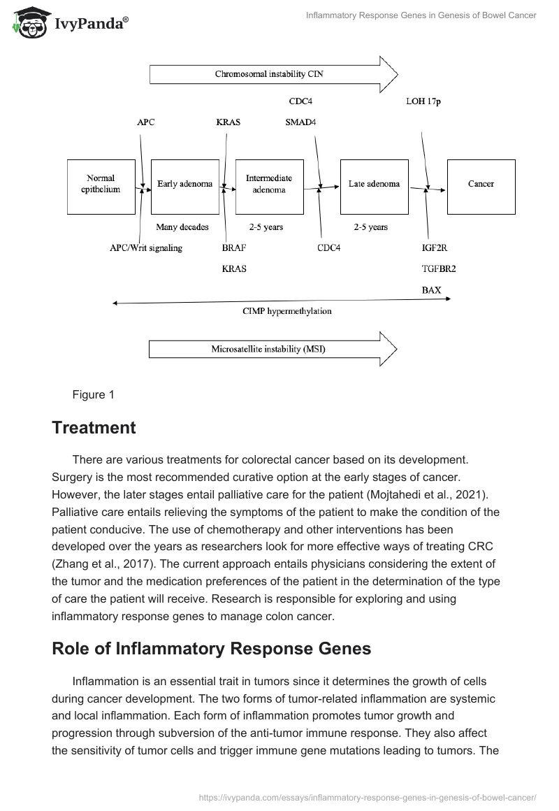 Inflammatory Response Genes in Genesis of Bowel Cancer. Page 3