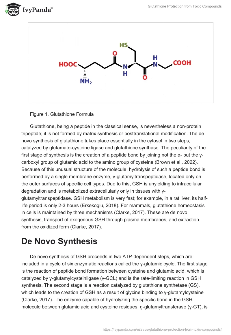 Glutathione Protection from Toxic Compounds. Page 2