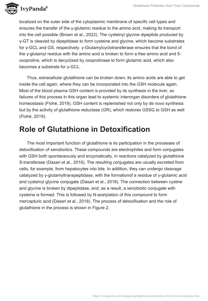 Glutathione Protection from Toxic Compounds. Page 3
