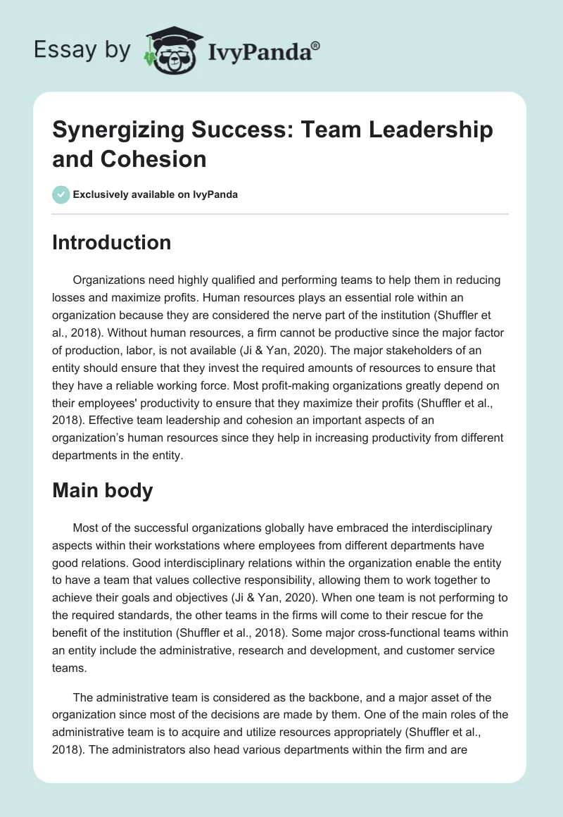 Synergizing Success: Team Leadership and Cohesion. Page 1