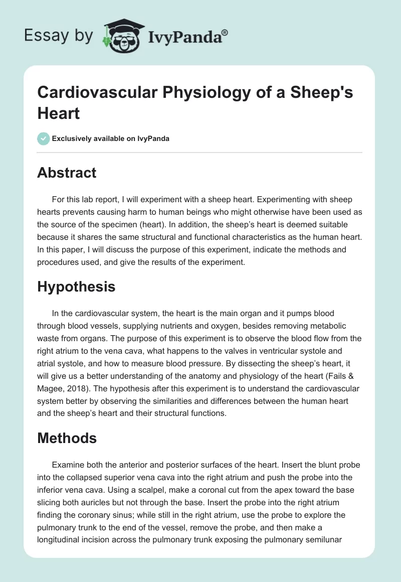 Cardiovascular Physiology of a Sheep's Heart. Page 1
