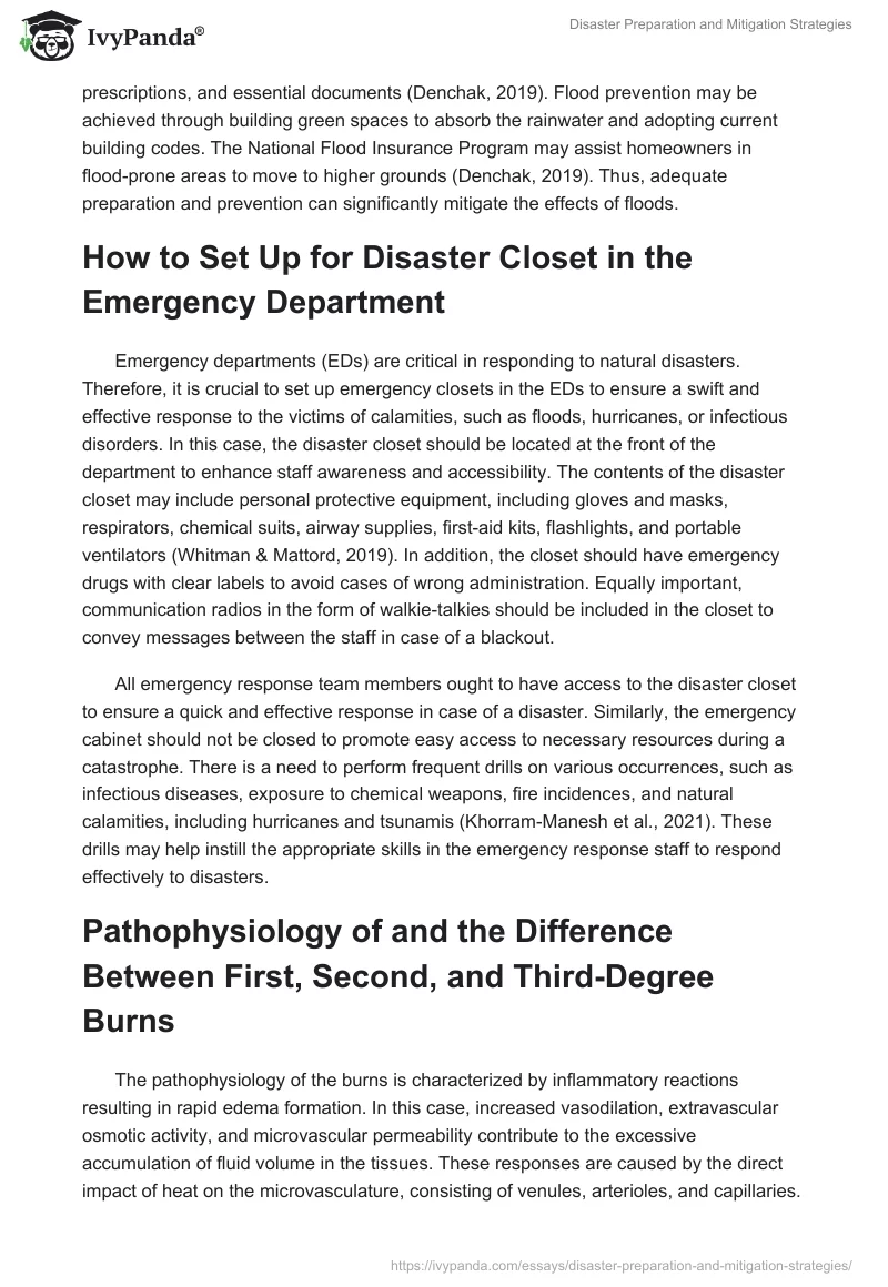 Disaster Preparation and Mitigation Strategies. Page 3