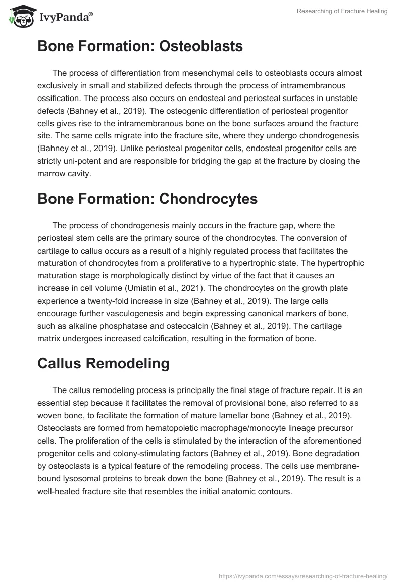 Researching of Fracture Healing. Page 3