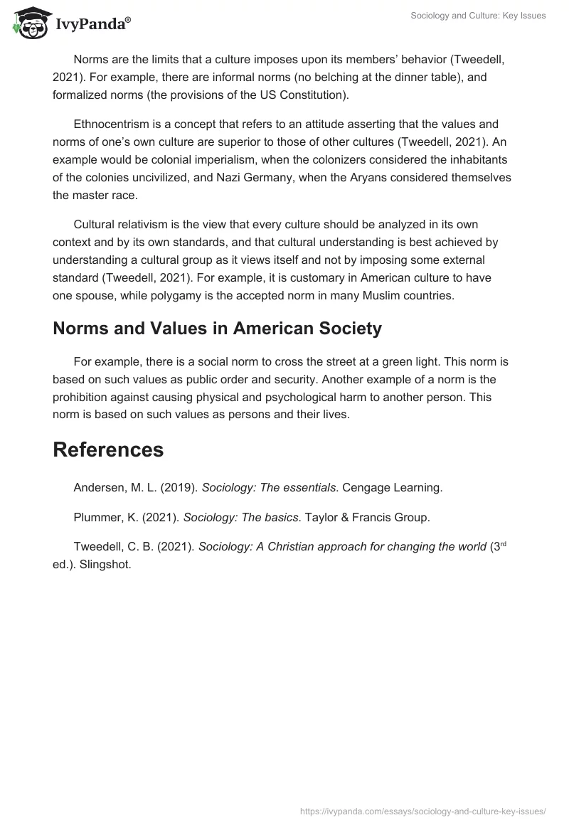 Sociology and Culture: Key Issues. Page 3