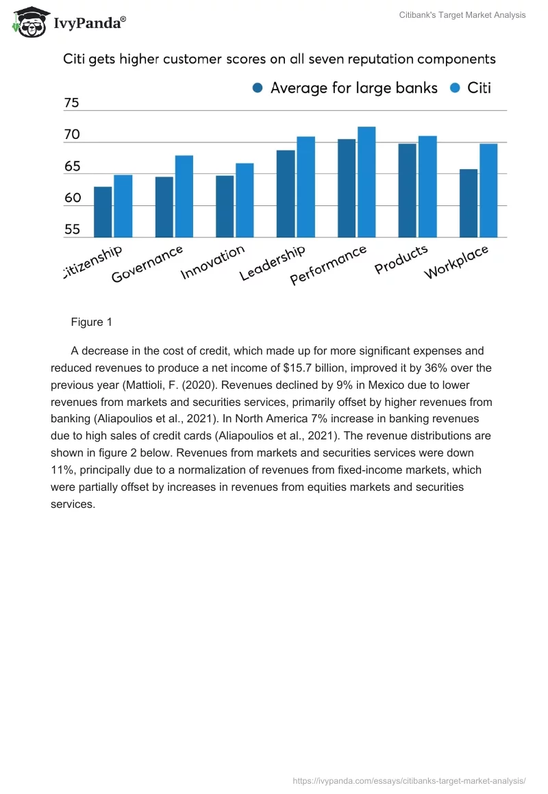 Citibank's Target Market Analysis. Page 3