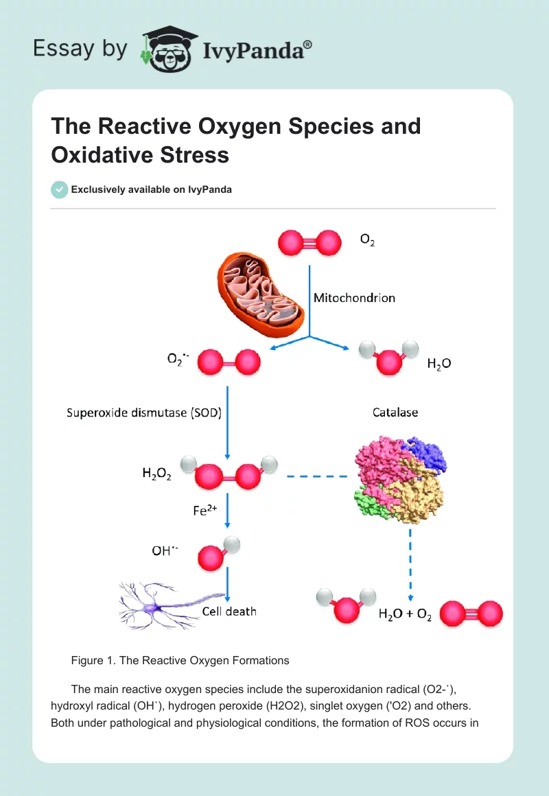 The Reactive Oxygen Species and Oxidative Stress. Page 1