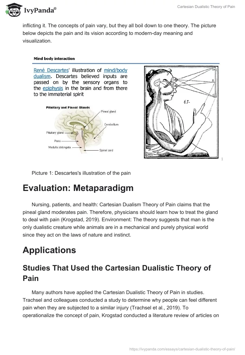 Cartesian Dualistic Theory of Pain. Page 2