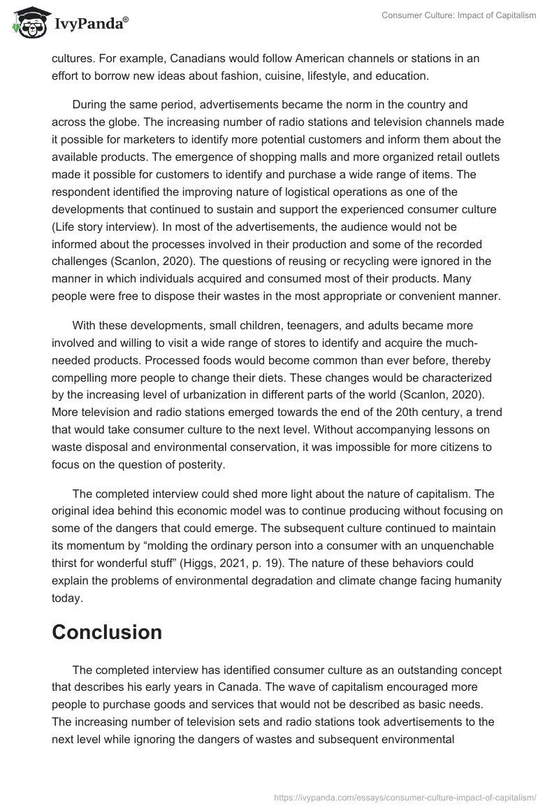Consumer Culture: Impact of Capitalism. Page 3