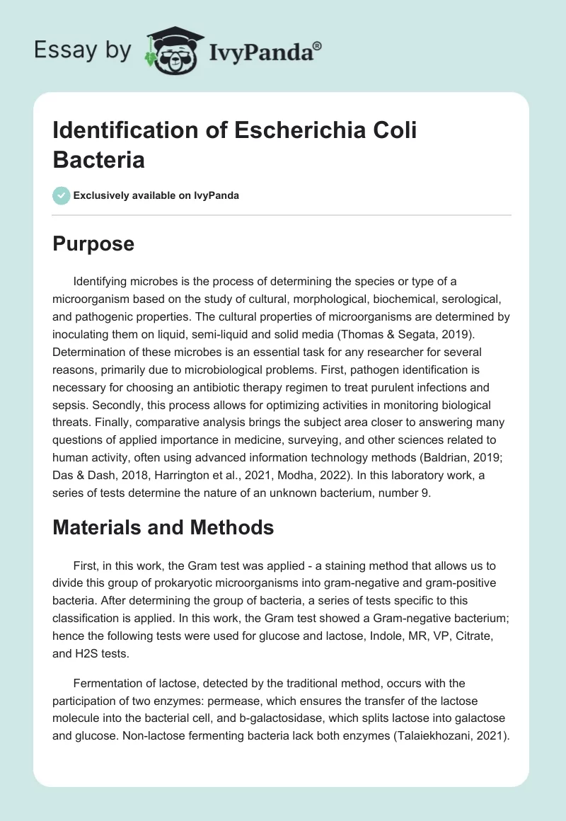 Identification of Escherichia Coli Bacteria. Page 1