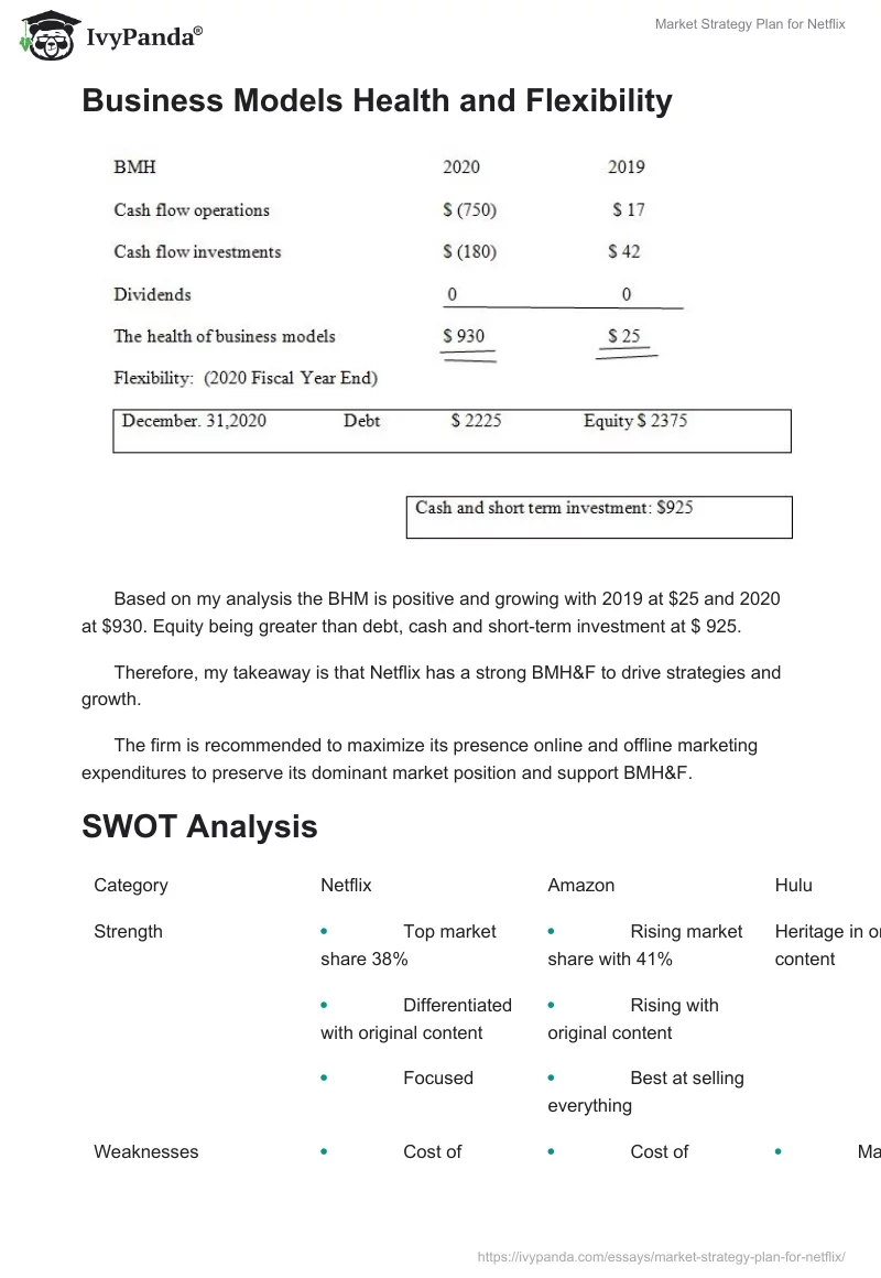 Market Strategy Plan for Netflix. Page 2