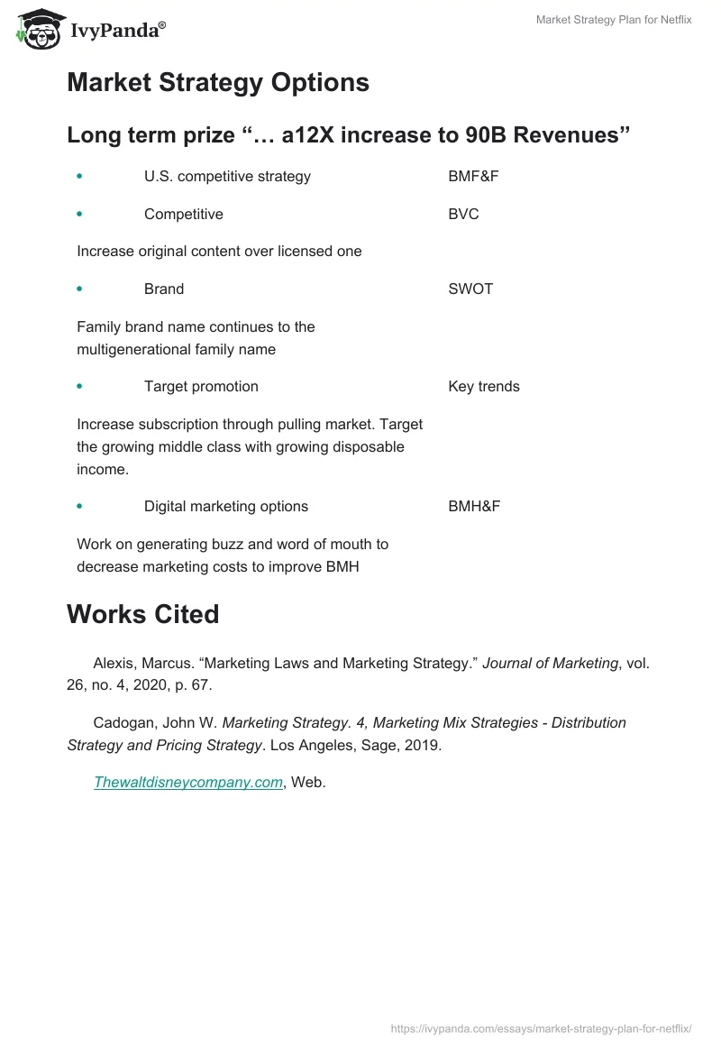 Market Strategy Plan for Netflix. Page 4