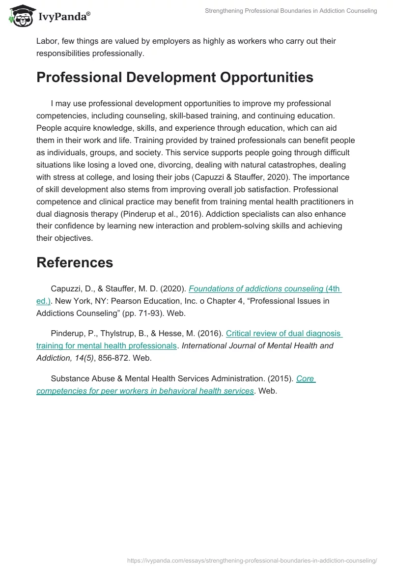 Strengthening Professional Boundaries in Addiction Counseling. Page 3