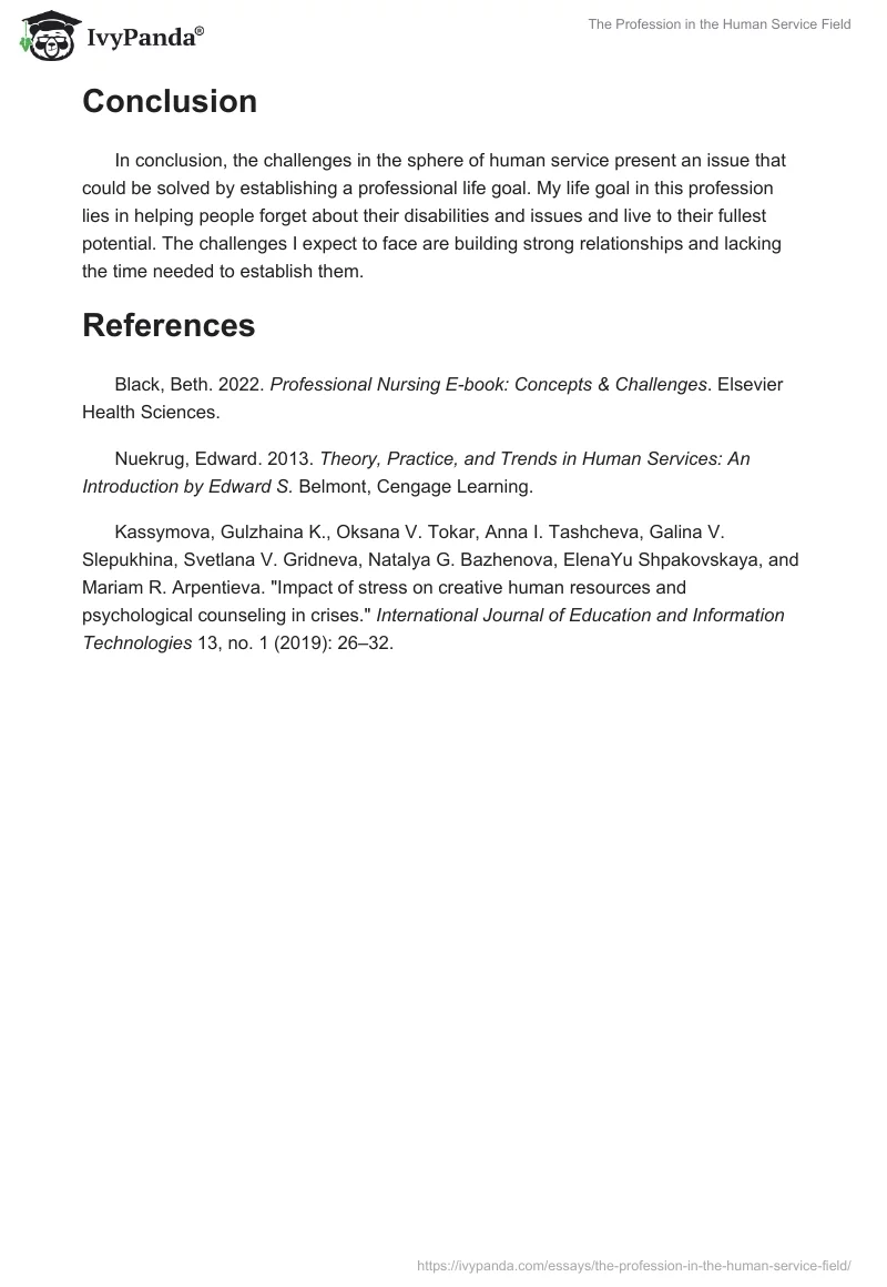 The Profession in the Human Service Field. Page 2