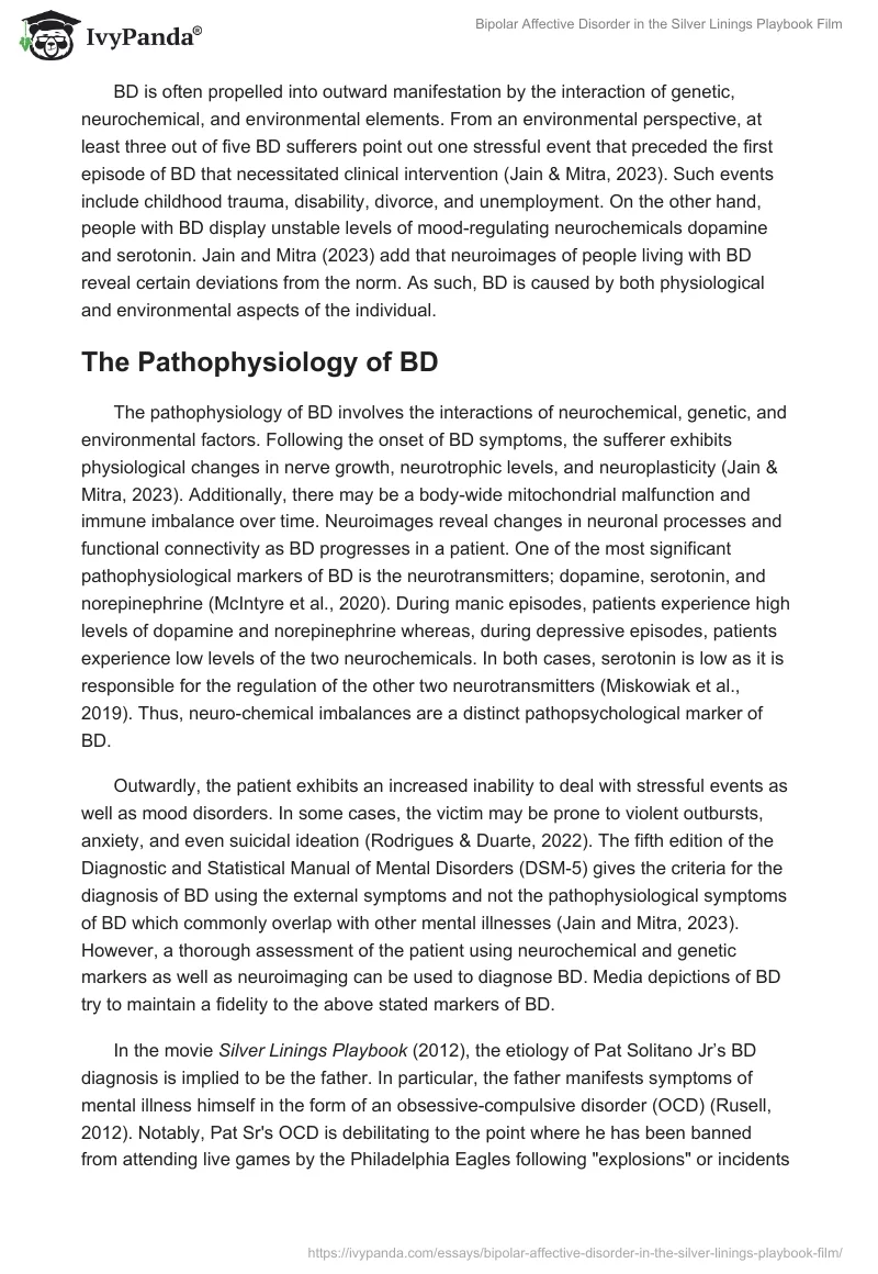 Bipolar Affective Disorder in the Silver Linings Playbook Film. Page 2