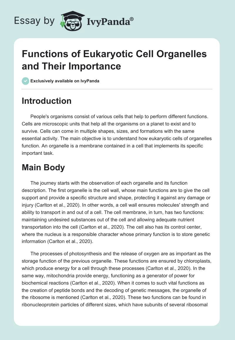 Functions of Eukaryotic Cell Organelles and Their Importance. Page 1