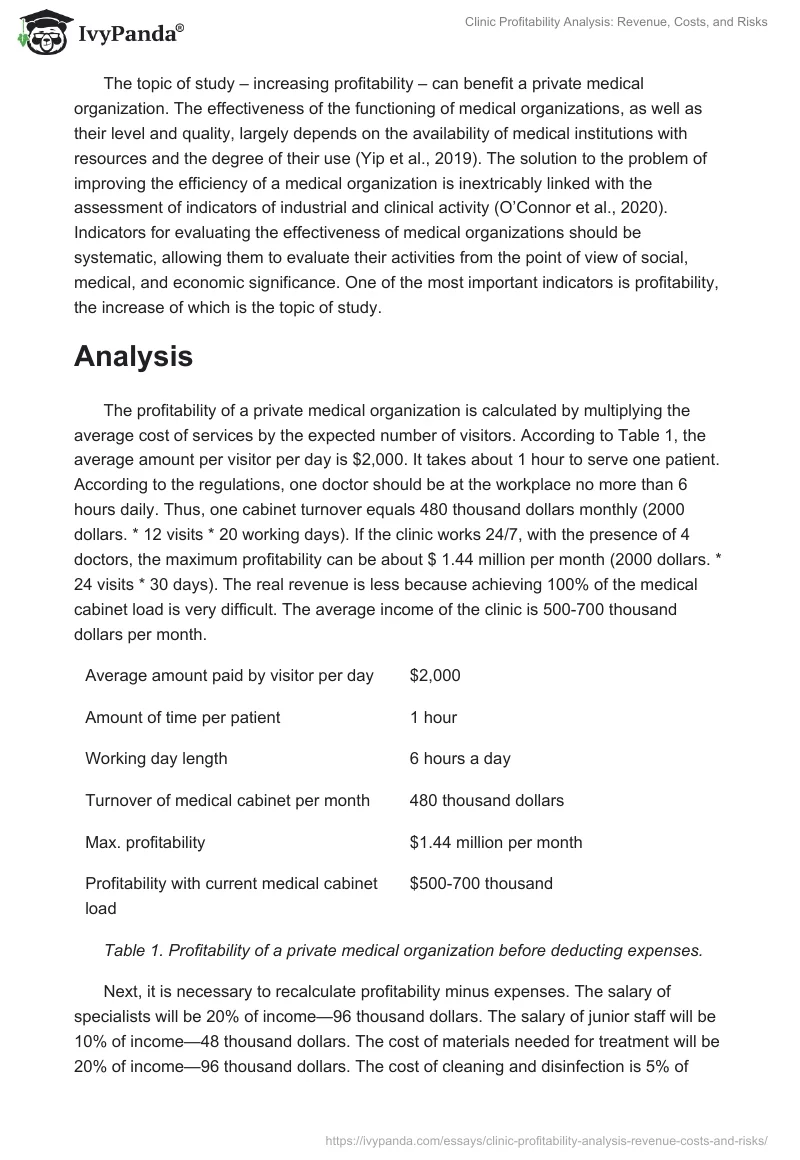 Clinic Profitability Analysis: Revenue, Costs, and Risks. Page 2