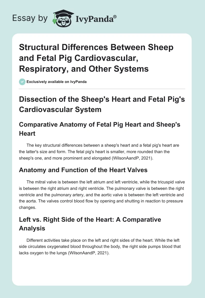 Structural Differences Between Sheep and Fetal Pig Cardiovascular, Respiratory, and Other Systems. Page 1