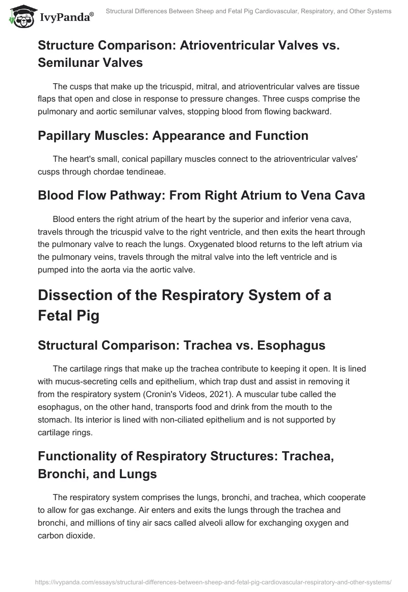 Structural Differences Between Sheep and Fetal Pig Cardiovascular, Respiratory, and Other Systems. Page 2