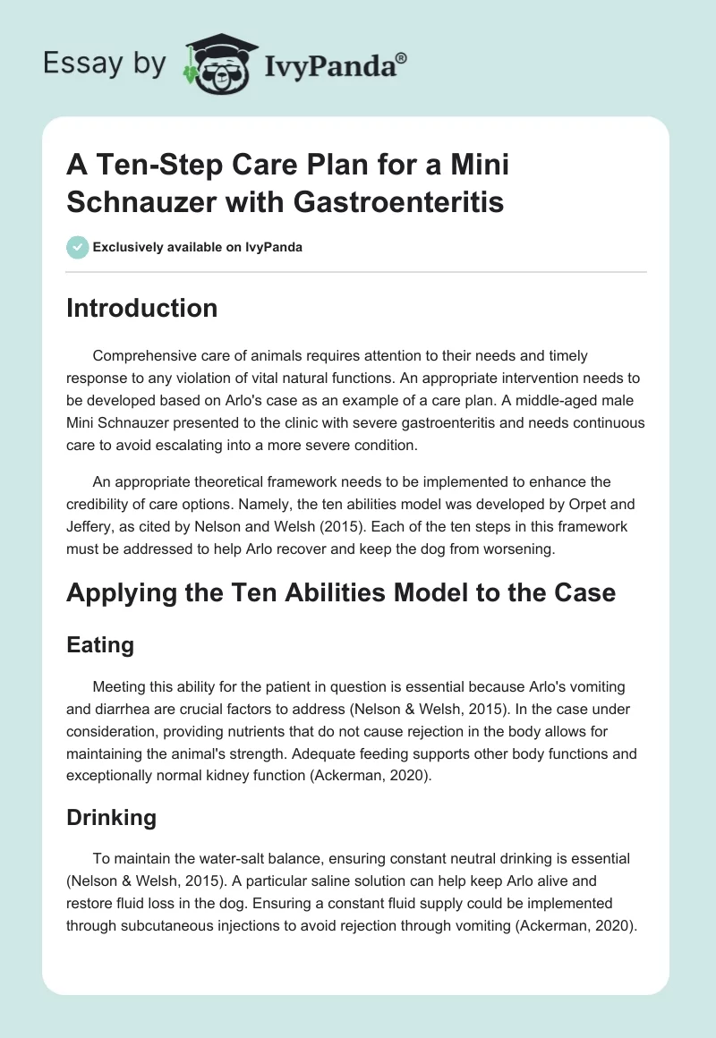 A Ten-Step Care Plan for a Mini Schnauzer with Gastroenteritis. Page 1