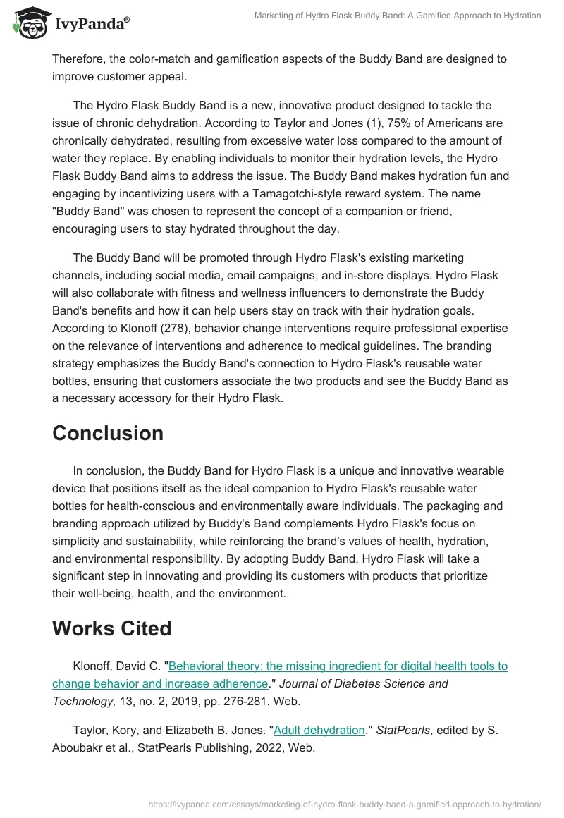 Marketing of Hydro Flask Buddy Band: A Gamified Approach to Hydration. Page 2