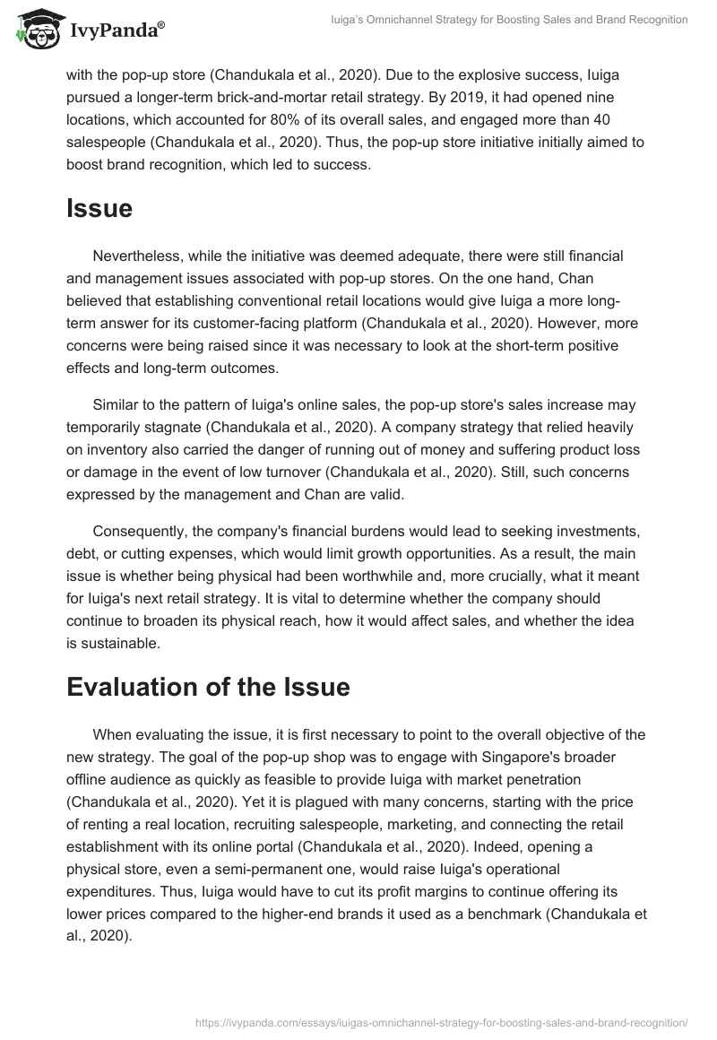 Iuiga’s Omnichannel Strategy for Boosting Sales and Brand Recognition. Page 2