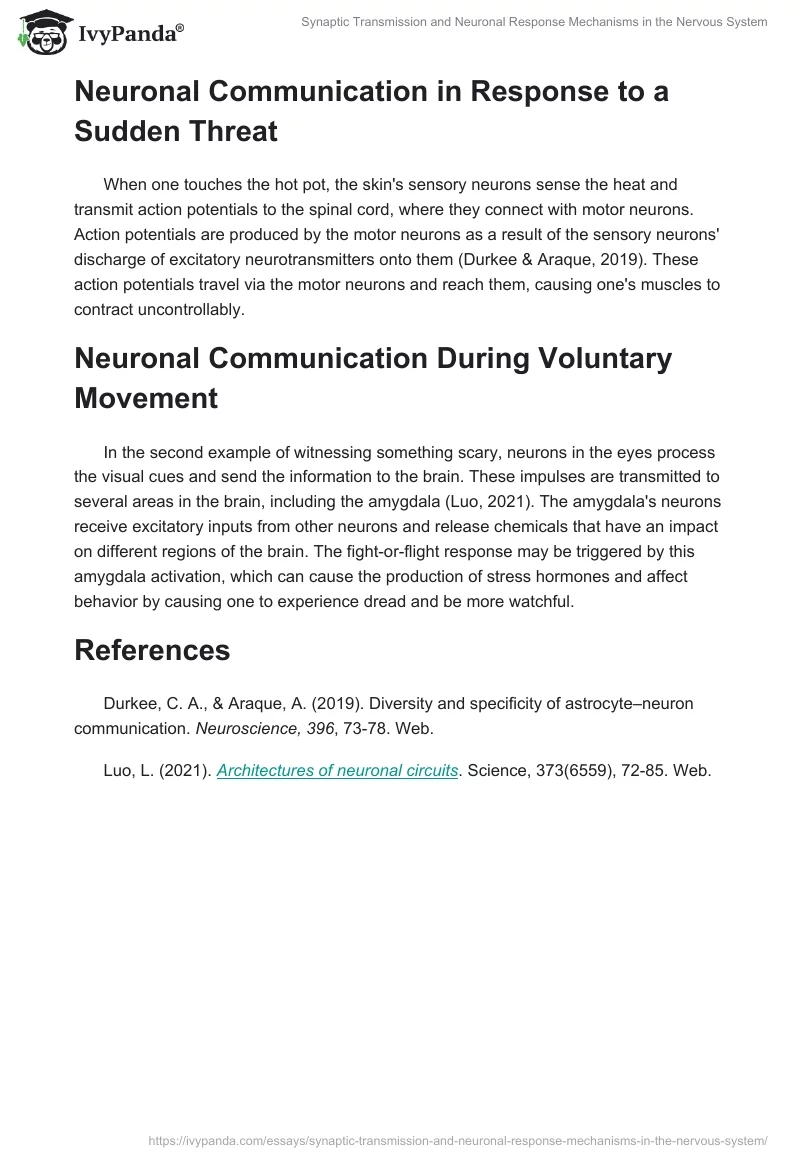 Synaptic Transmission and Neuronal Response Mechanisms in the Nervous System. Page 2
