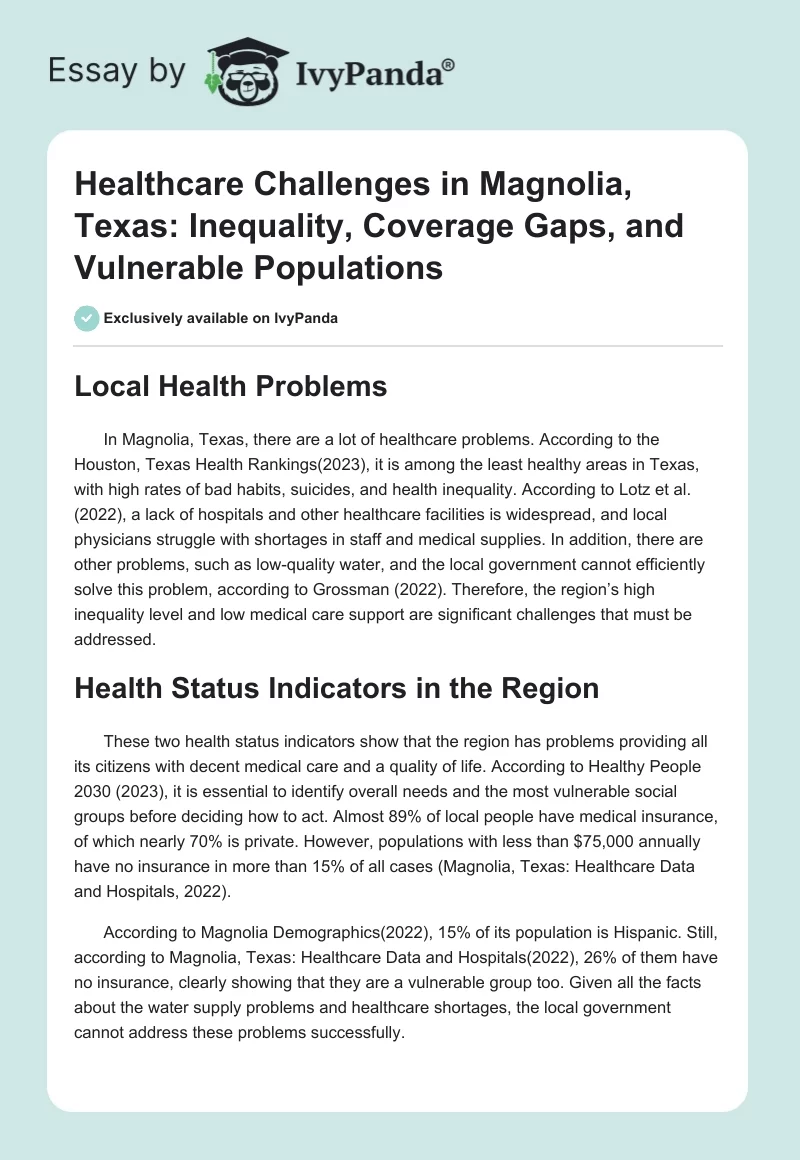 Healthcare Challenges in Magnolia, Texas: Inequality, Coverage Gaps, and Vulnerable Populations. Page 1
