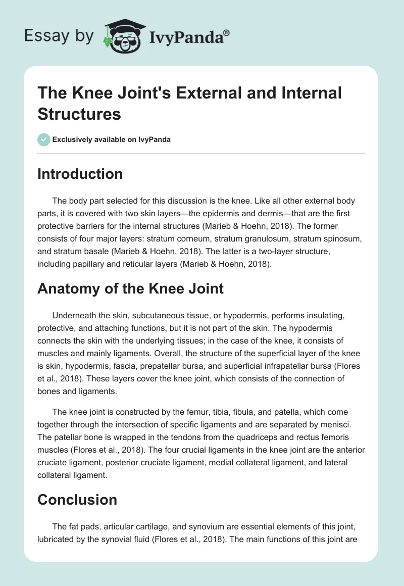 The Knee Joint's External and Internal Structures. Page 1
