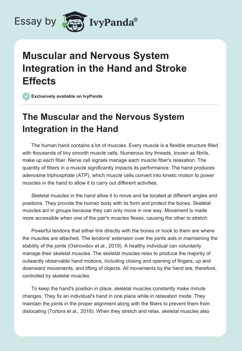 Muscular and Nervous System Integration in the Hand and Stroke Effects. Page 1