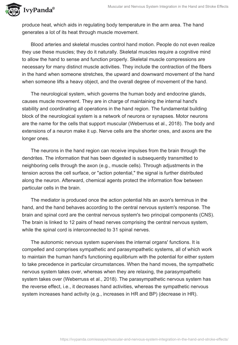 Muscular and Nervous System Integration in the Hand and Stroke Effects. Page 2
