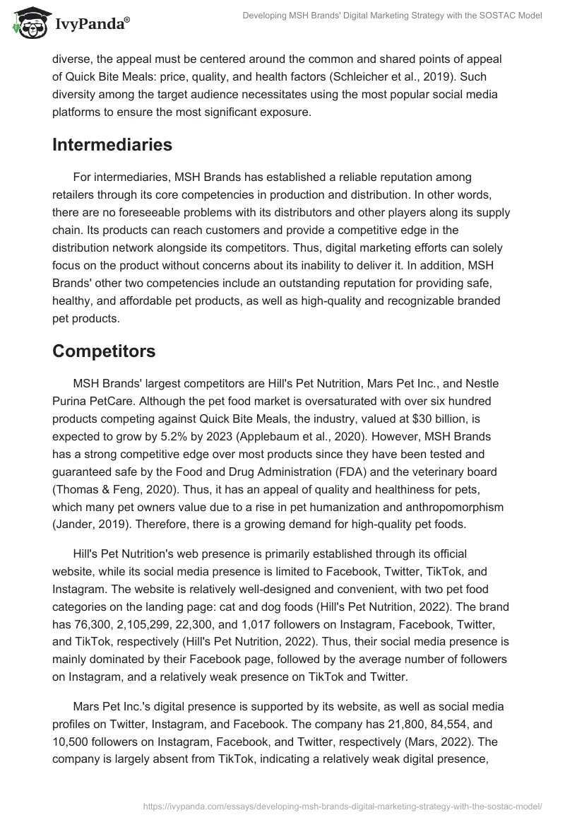 Developing MSH Brands' Digital Marketing Strategy with the SOSTAC Model. Page 2