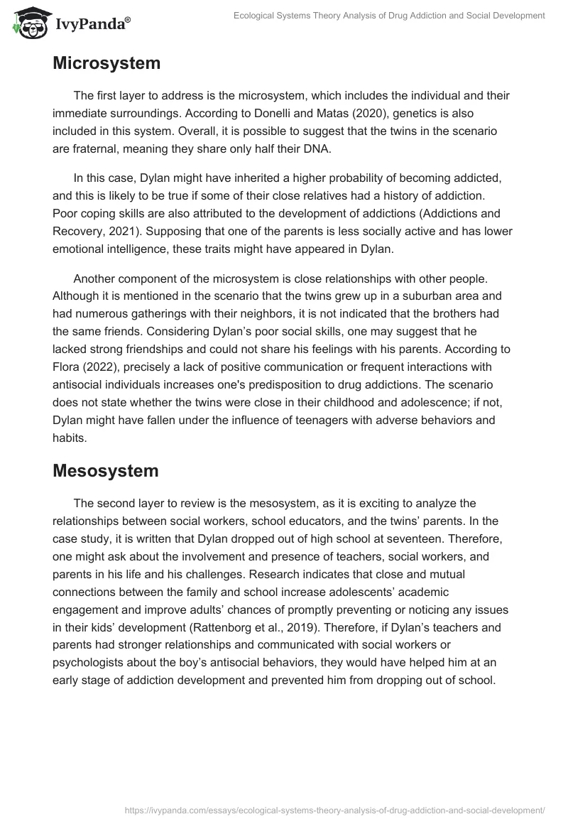 Ecological Systems Theory Analysis of Drug Addiction and Social Development. Page 2