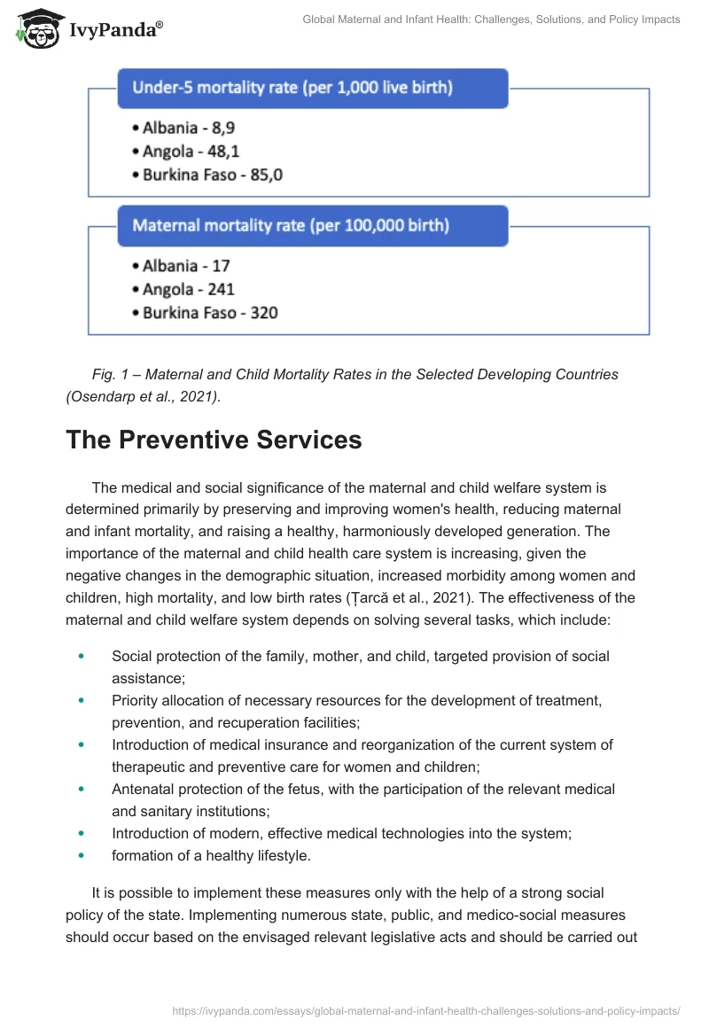 Global Maternal and Infant Health: Challenges, Solutions, and Policy Impacts. Page 2