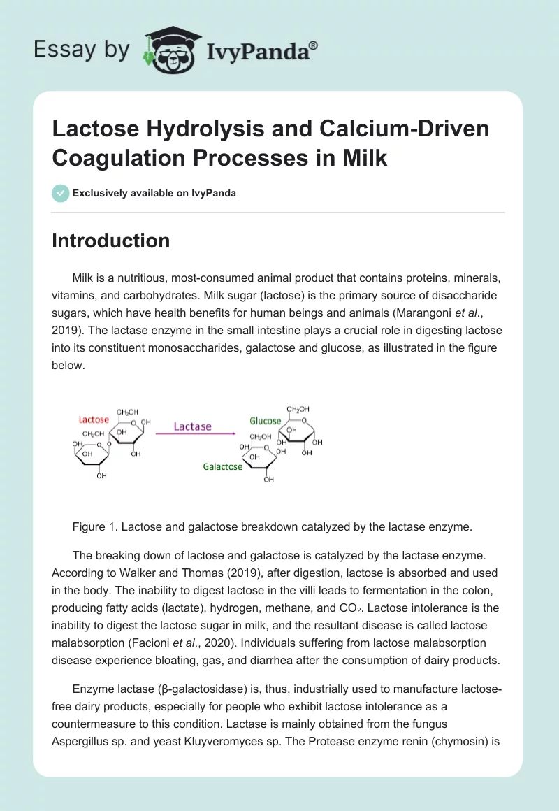 Lactose Hydrolysis and Calcium-Driven Coagulation Processes in Milk. Page 1