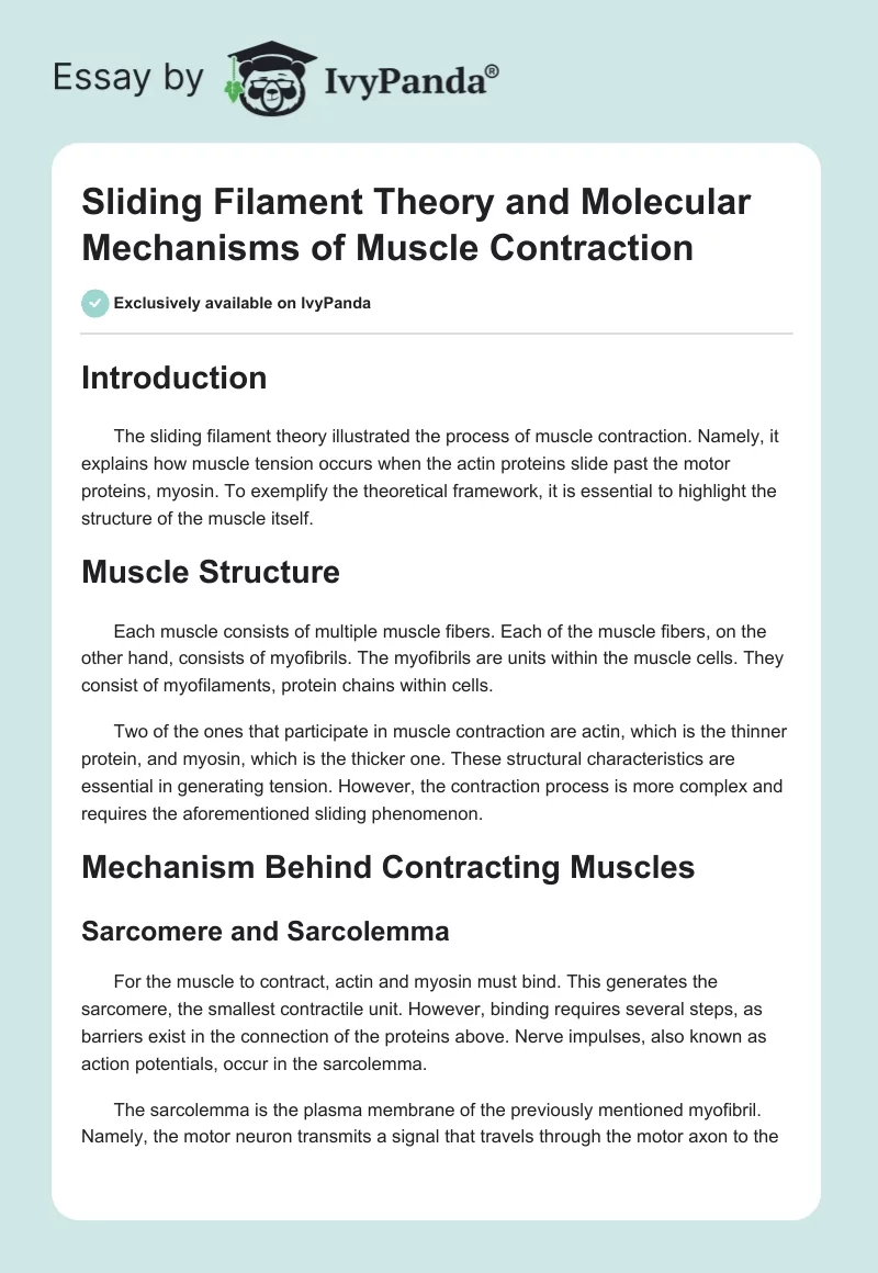 Sliding Filament Theory and Molecular Mechanisms of Muscle Contraction. Page 1