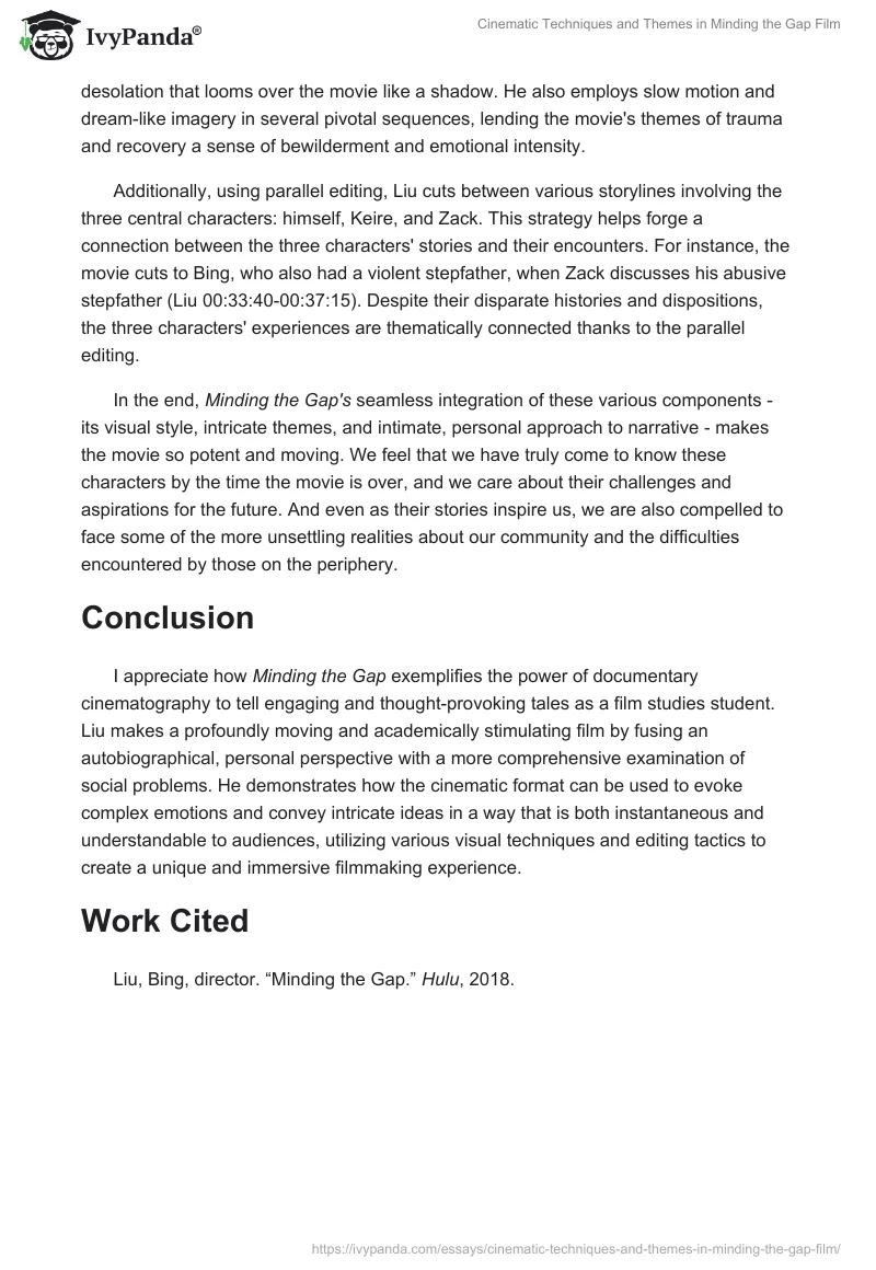 Cinematic Techniques and Themes in "Minding the Gap" Film. Page 2
