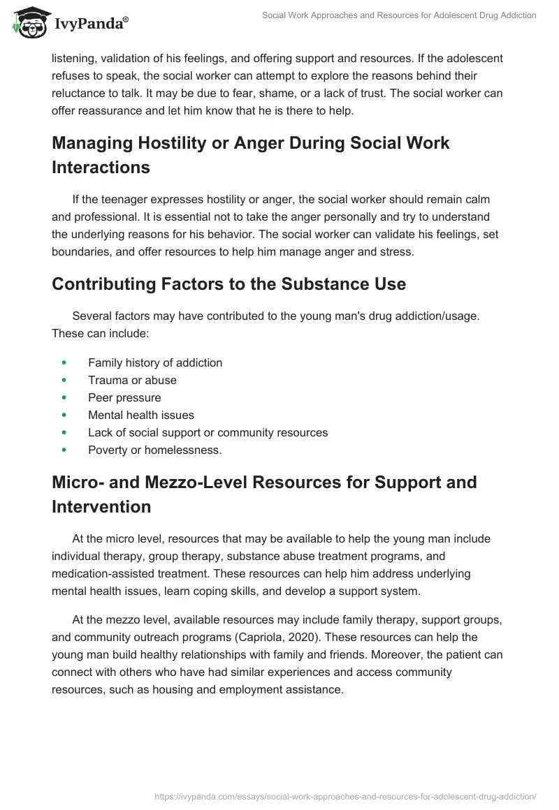 Social Work Approaches and Resources for Adolescent Drug Addiction. Page 2