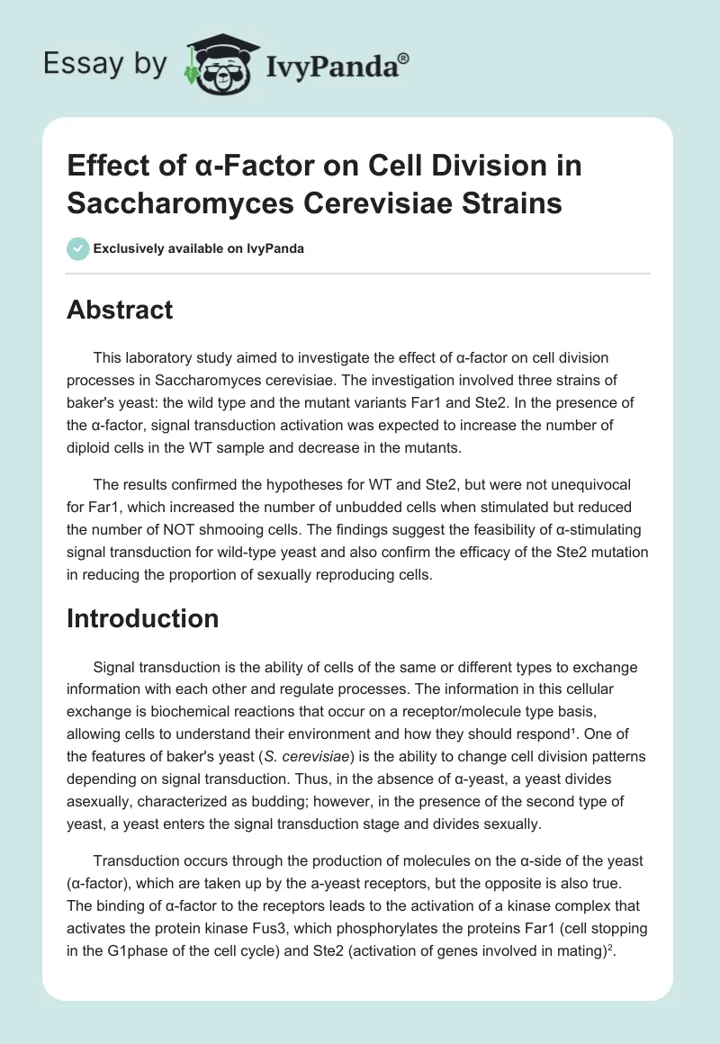 Effect of α-Factor on Cell Division in Saccharomyces Cerevisiae Strains. Page 1